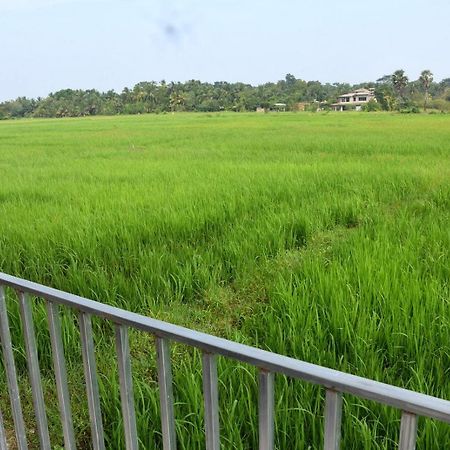 Meegahapokuna Resort Anuradhapura Exterior photo