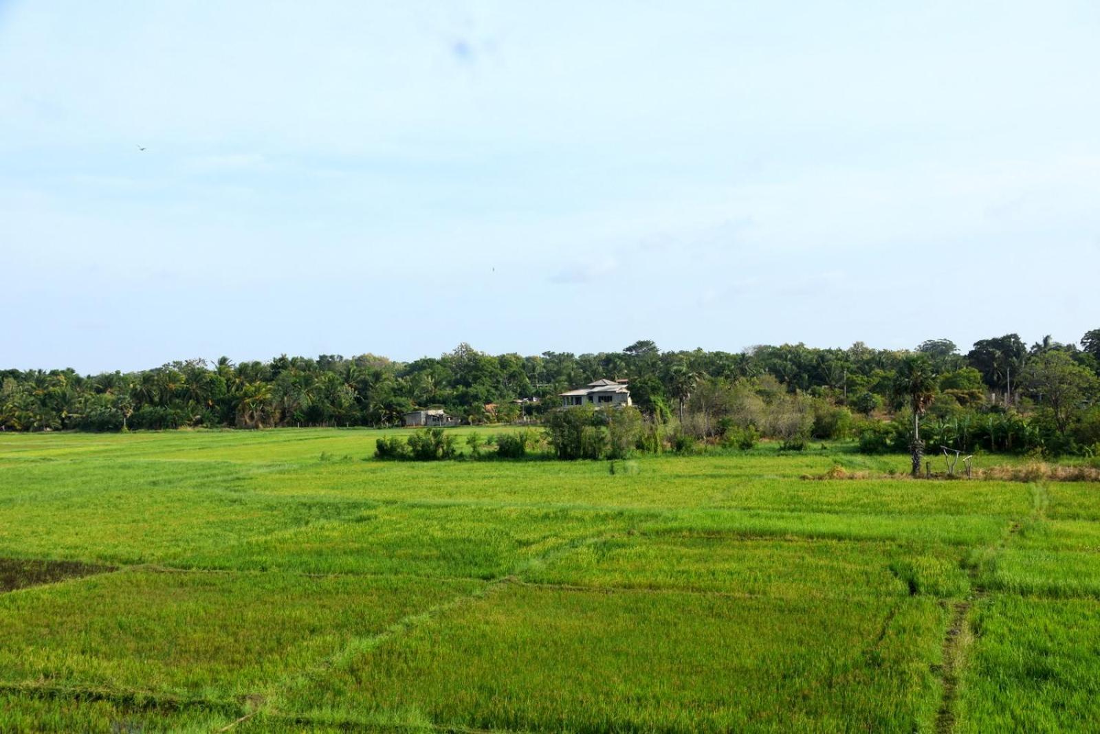 Meegahapokuna Resort Anuradhapura Exterior photo